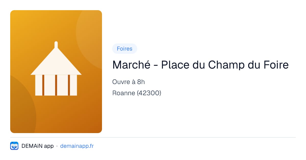 Marché - Place du Champ du Foire — Roanne