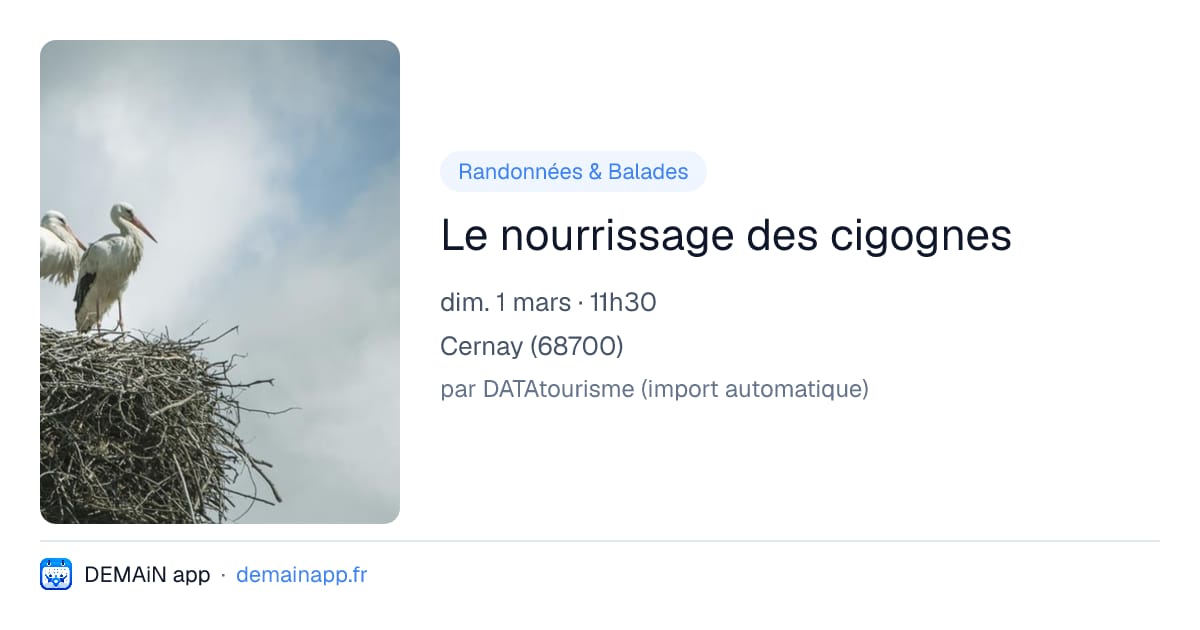 Le nourrissage des cigognes — Cernay