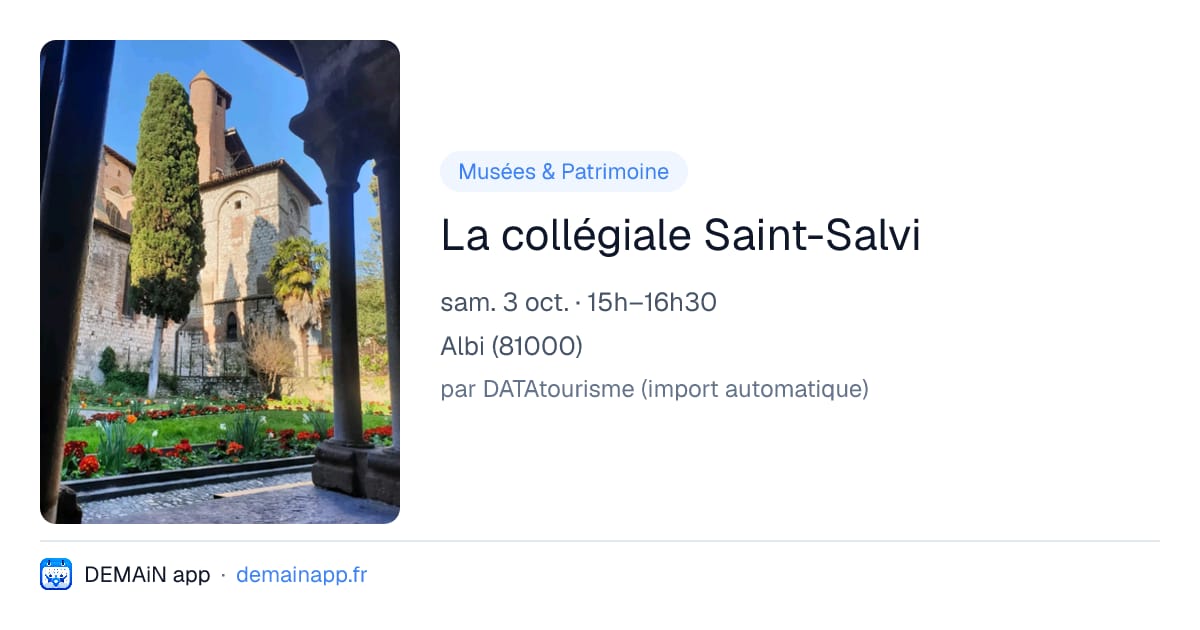 La collégiale Saint-Salvi — Albi