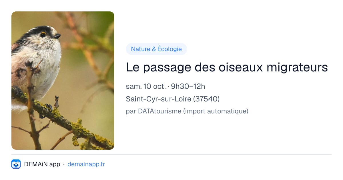 Le passage des oiseaux migrateurs — Saint-Cyr-sur-Loire