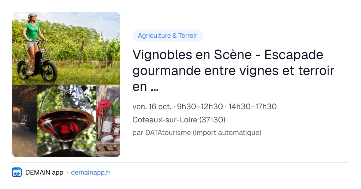 Vignobles en Scène - Escapade gourmande entre vignes et terroir en trottinette tout-terrain — Coteaux-sur-Loire
