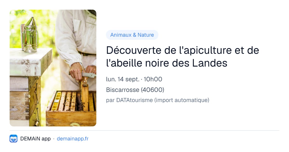 Découverte de l'apiculture et de l'abeille noire des Landes — Biscarrosse