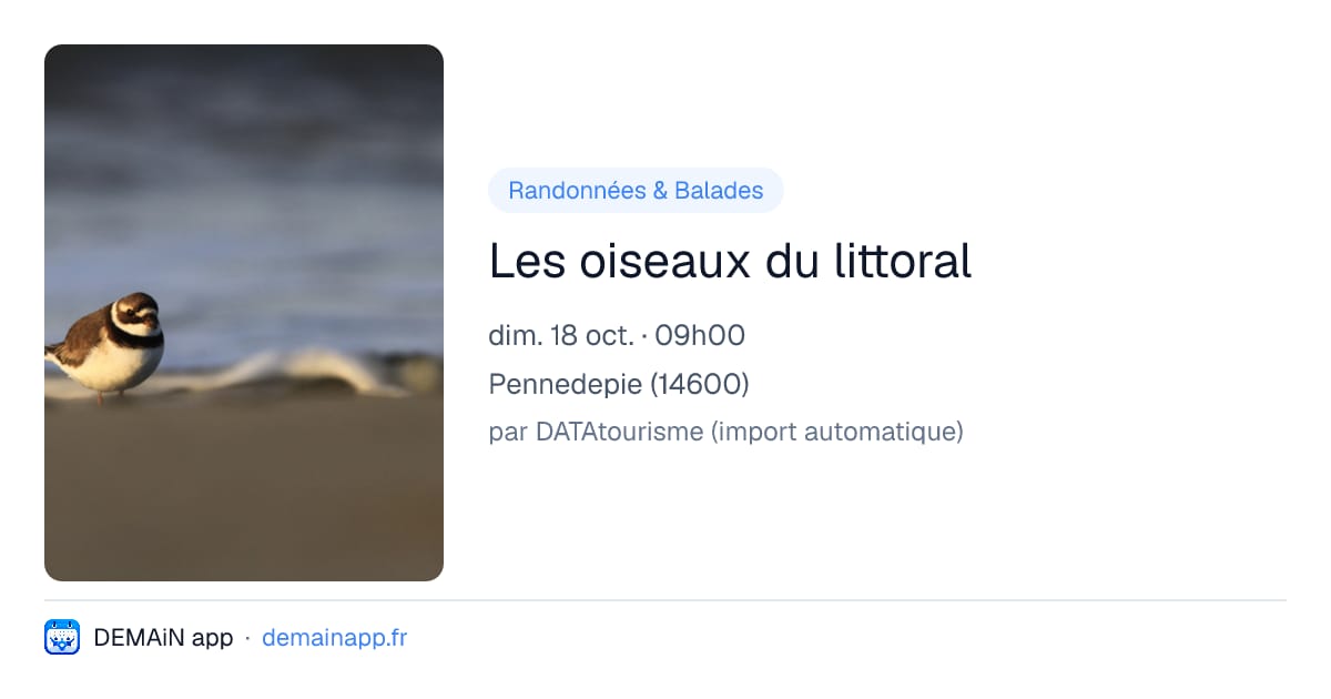 Les oiseaux du littoral — Pennedepie