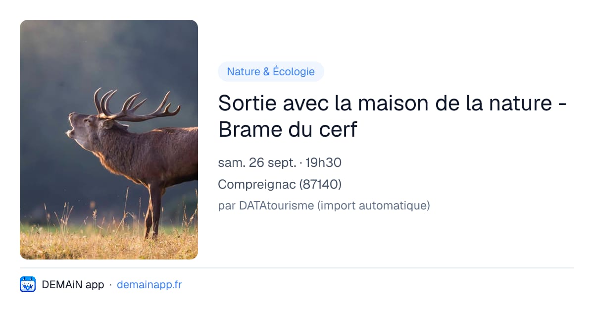Sortie avec la maison de la nature - Brame du cerf — Compreignac