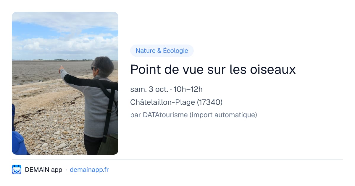Point de vue sur les oiseaux — Châtelaillon-Plage