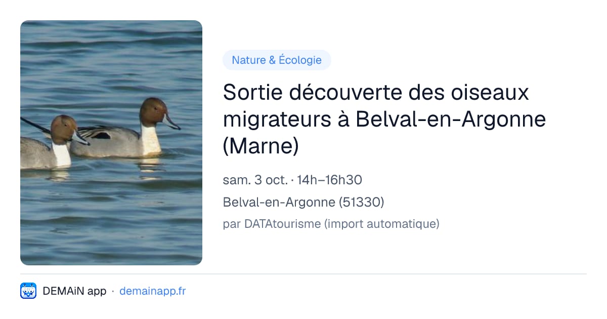 Sortie découverte des oiseaux migrateurs à Belval-en-Argonne (Marne) — Belval-en-Argonne