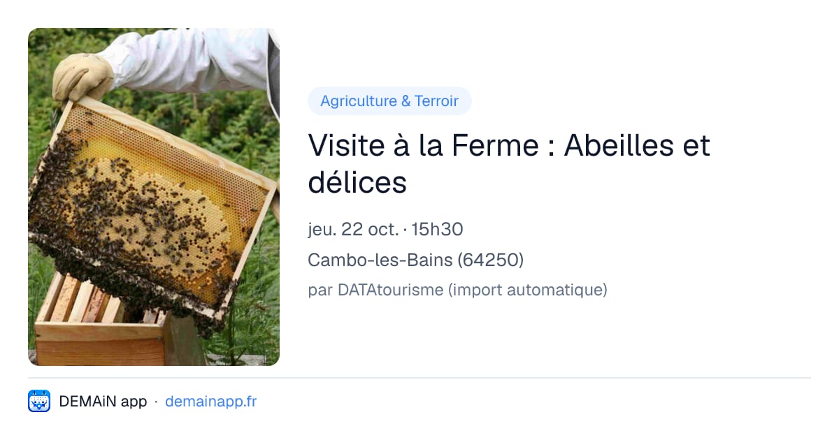 Visite à la Ferme : Abeilles et délices — Cambo-les-Bains