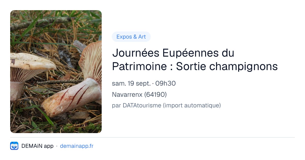 Journées Eupéennes du Patrimoine : Sortie champignons — Navarrenx