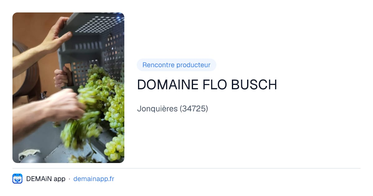 DOMAINE FLO BUSCH — Jonquières
