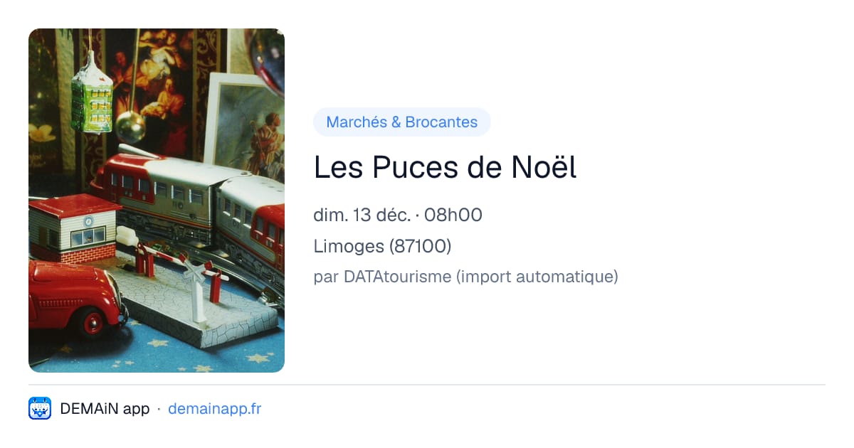 Les Puces de Noël — Limoges