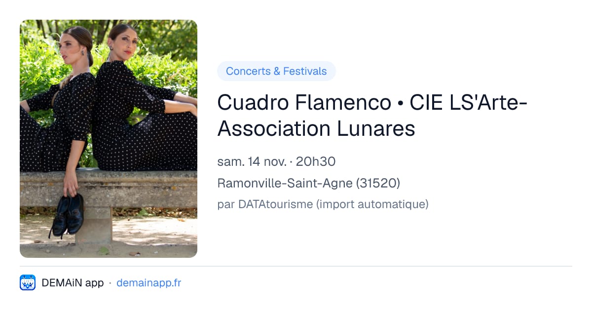 Cuadro Flamenco • CIE LS'Arte- Association Lunares — Ramonville-Saint-Agne