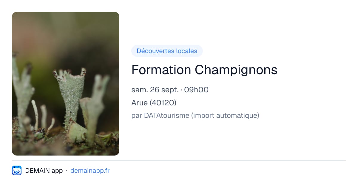 Formation Champignons — Arue