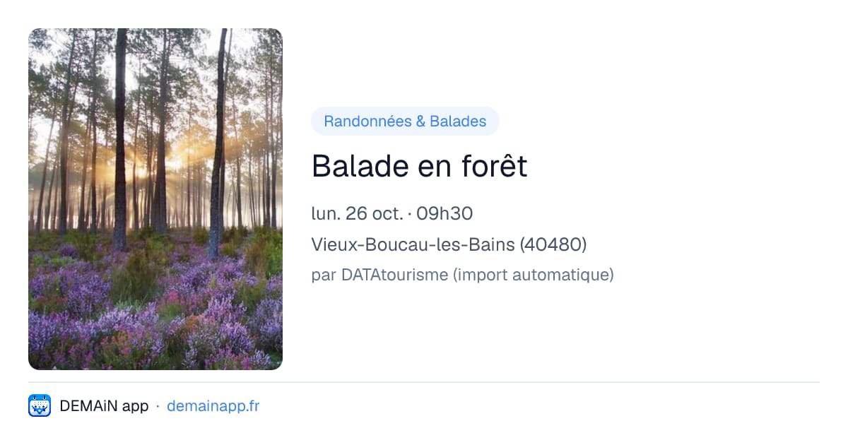 Balade en forêt — Vieux-Boucau-les-Bains