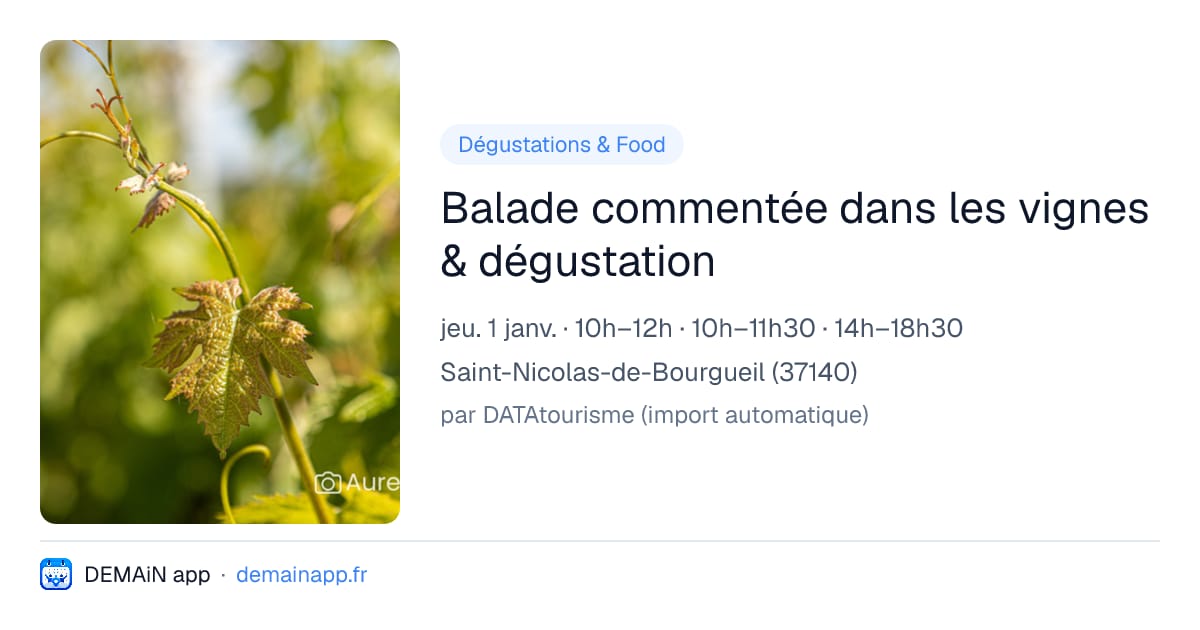 Balade commentée dans les vignes & dégustation — Saint-Nicolas-de-Bourgueil