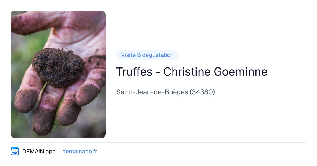 Truffes - Christine Goeminne — Saint-Jean-de-Buèges