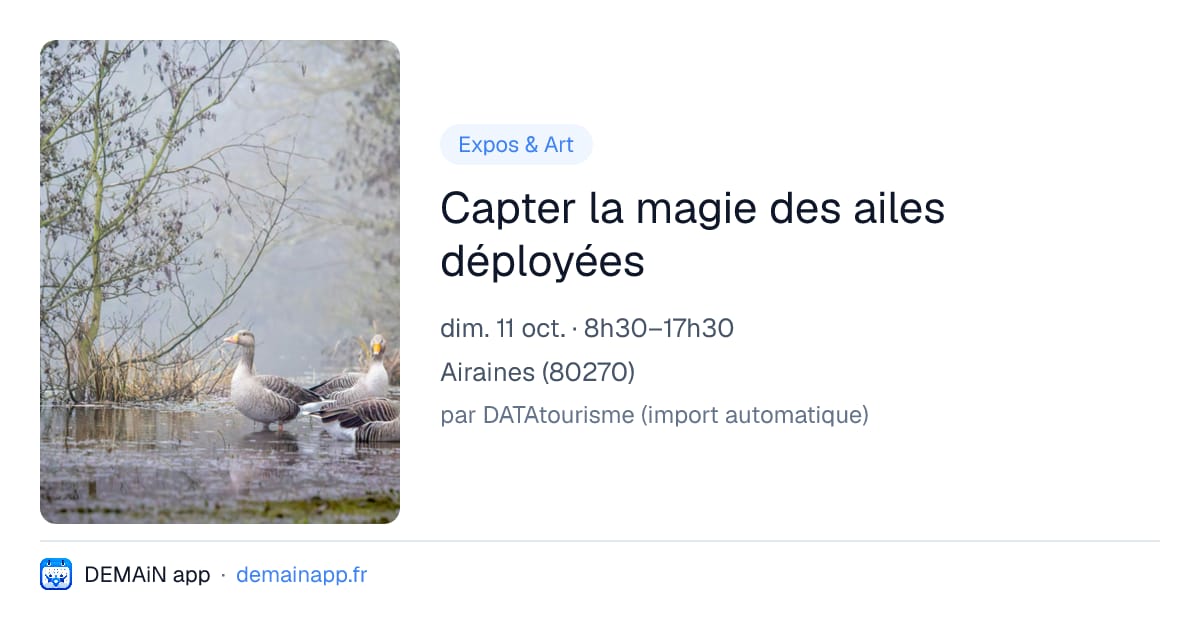 Capter la magie des ailes déployées — Airaines