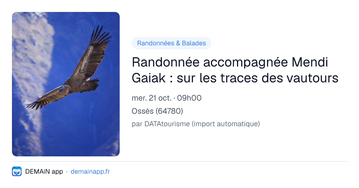 Randonnée accompagnée Mendi Gaiak : sur les traces des vautours — Ossès