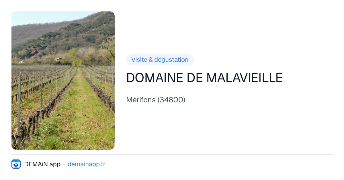 DOMAINE DE MALAVIEILLE — Mérifons