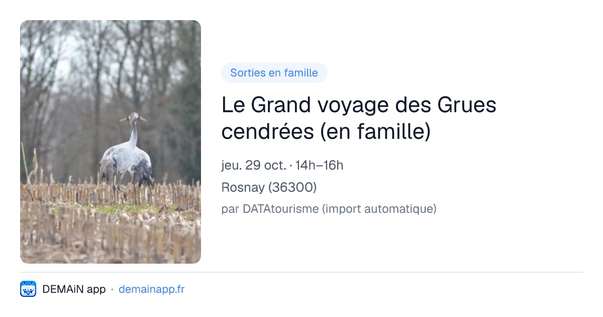 Le Grand voyage des Grues cendrées (en famille) — Rosnay
