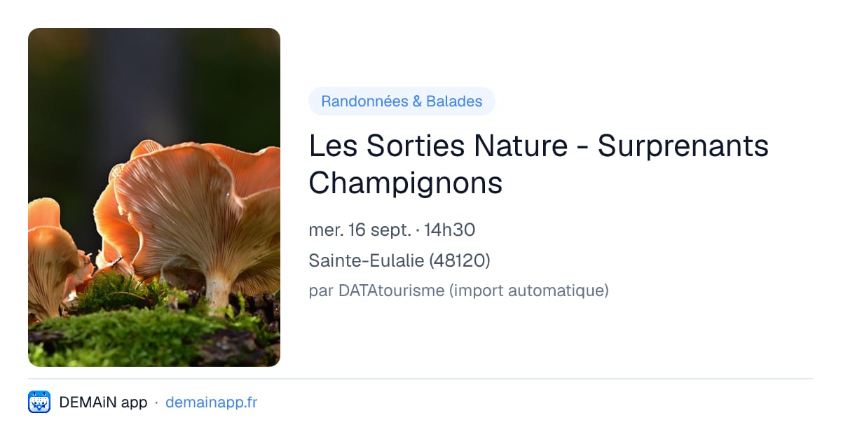 Les Sorties Nature - Surprenants Champignons — Sainte-Eulalie