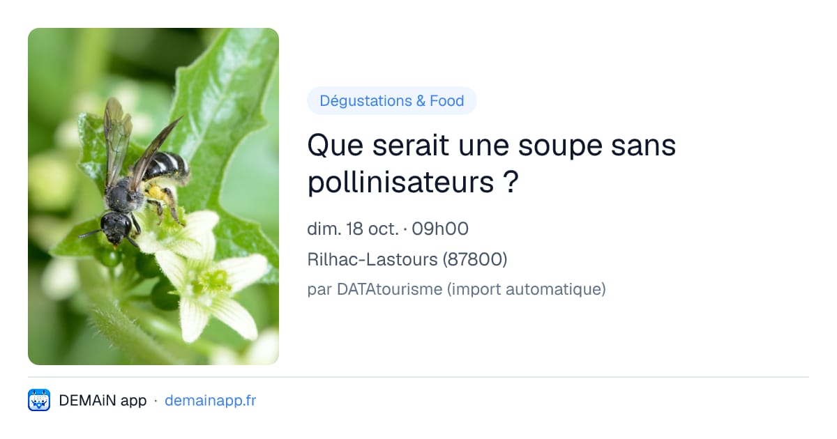 Que serait une soupe sans pollinisateurs ? — Rilhac-Lastours