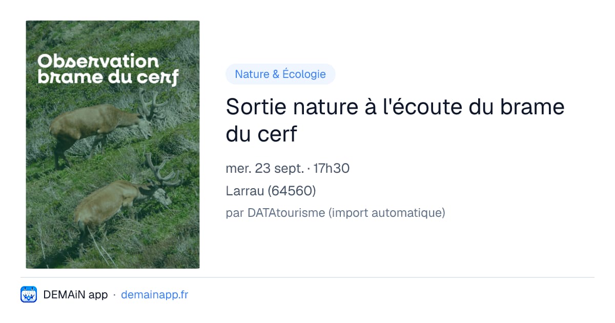 Sortie nature à l'écoute du brame du cerf — Larrau