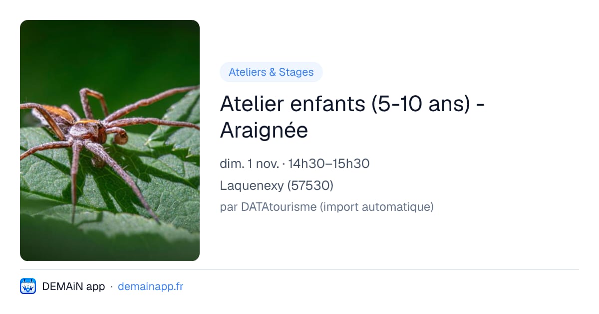 Atelier enfants (5-10 ans) - Araignée — Laquenexy