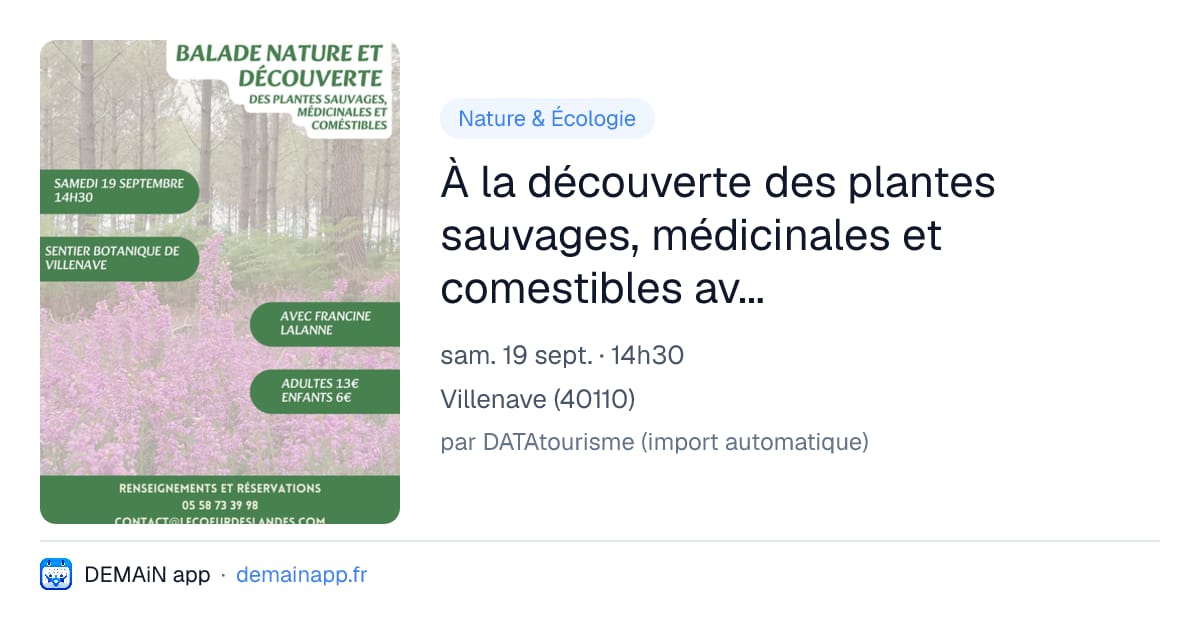 À la découverte des plantes sauvages, médicinales et comestibles avec Francine — Villenave