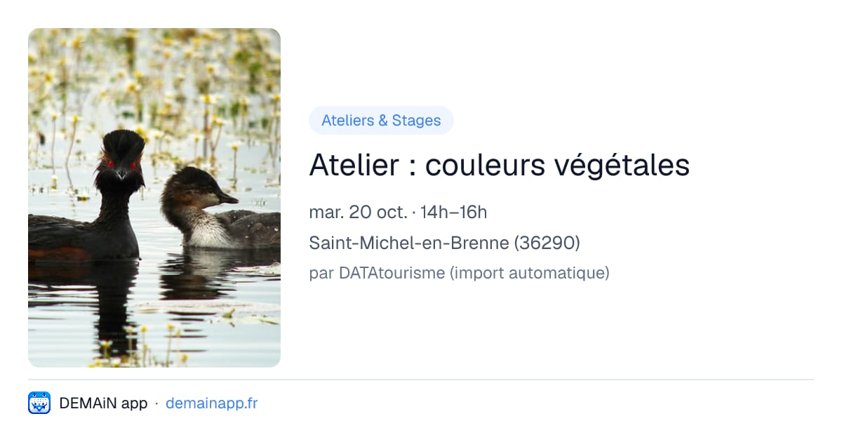 Atelier : couleurs végétales — Saint-Michel-en-Brenne