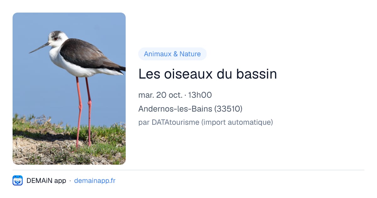 Les oiseaux du bassin — Andernos-les-Bains