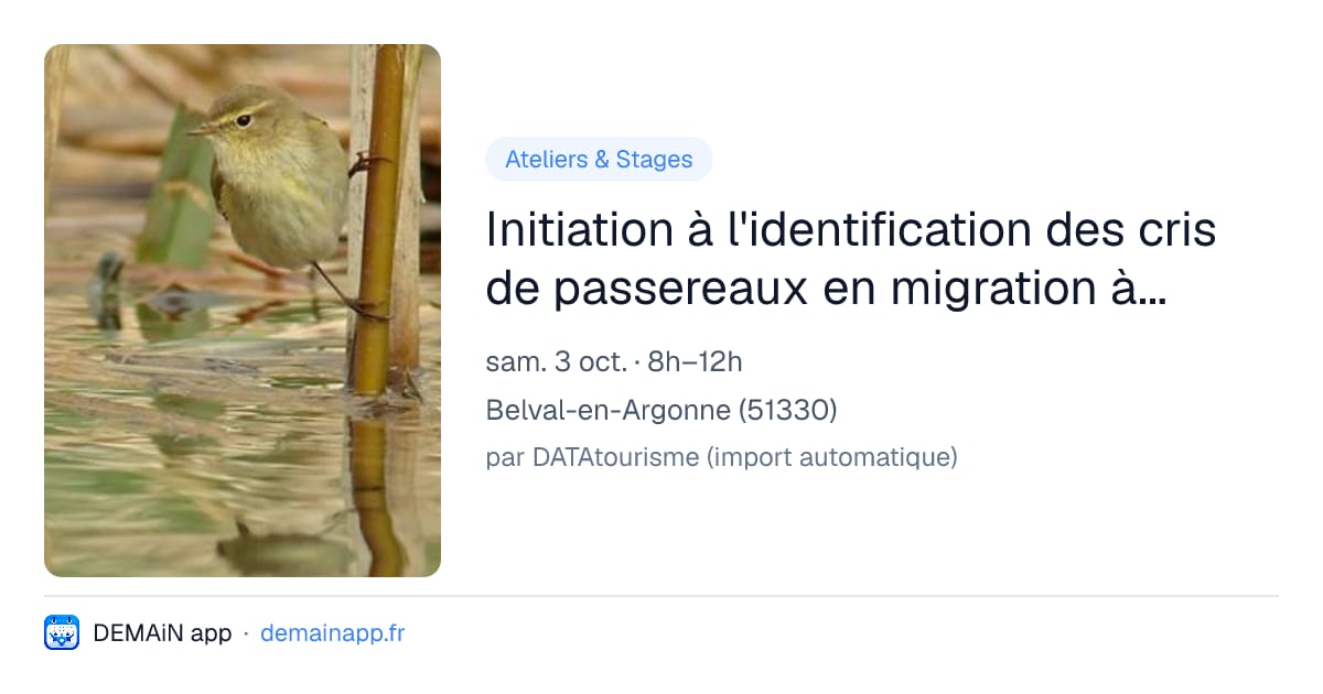 Initiation à l'identification des cris de passereaux en migration à Belval en Argonne (Marne). — Belval-en-Argonne