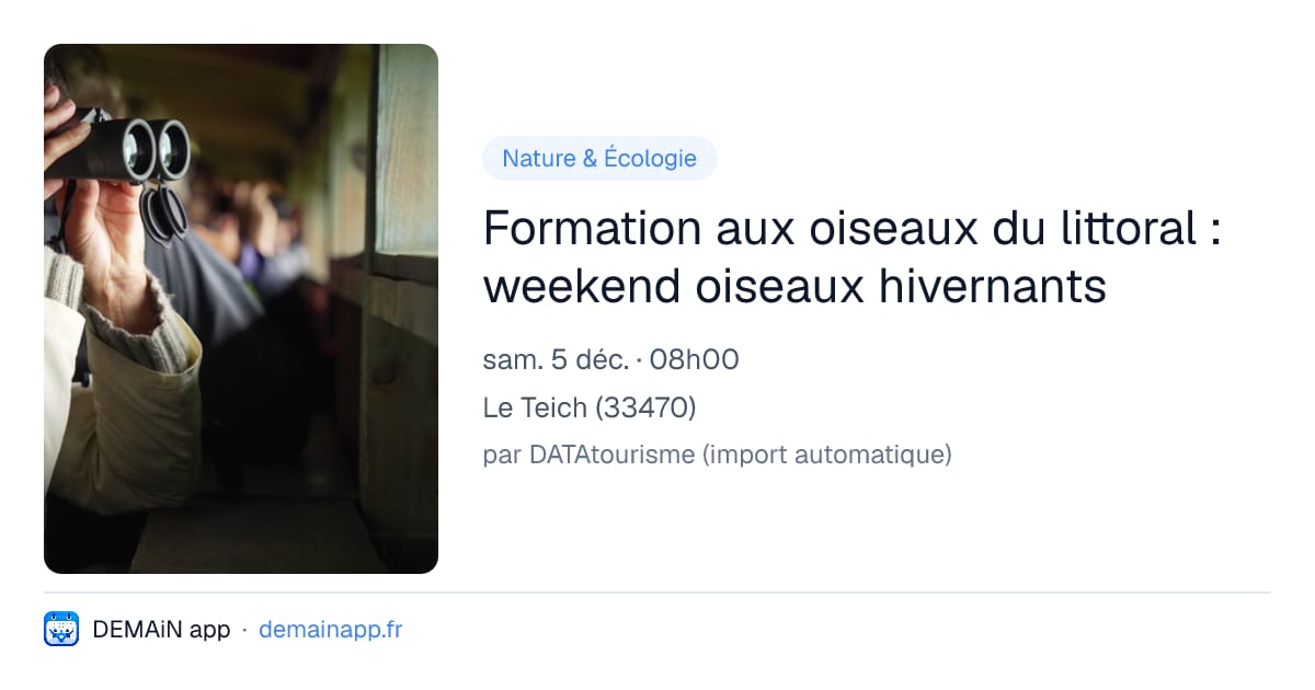 Formation aux oiseaux du littoral : weekend oiseaux hivernants — Le Teich