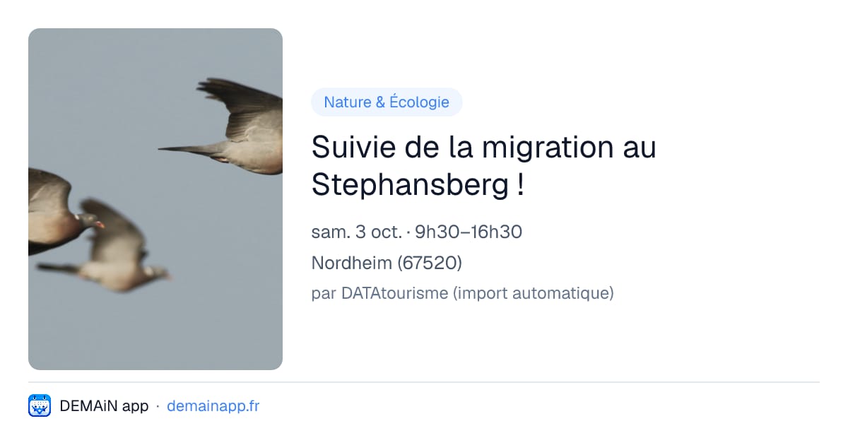 Suivie de la migration au Stephansberg ! — Nordheim