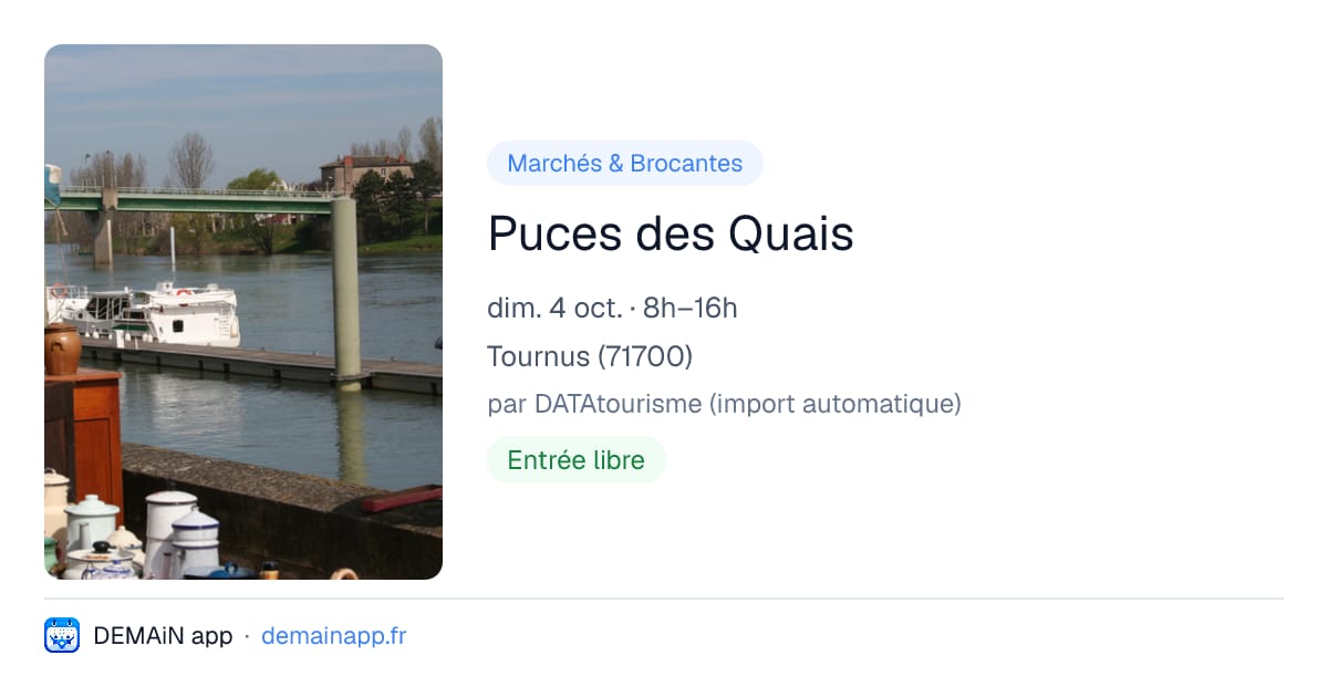 Puces des Quais — Tournus