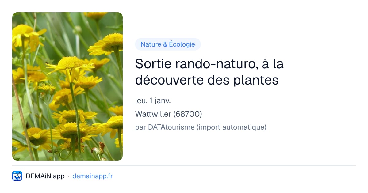 Sortie rando-naturo, à la découverte des plantes — Wattwiller