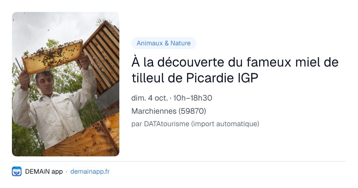 À la découverte du fameux miel de tilleul de Picardie IGP — Marchiennes