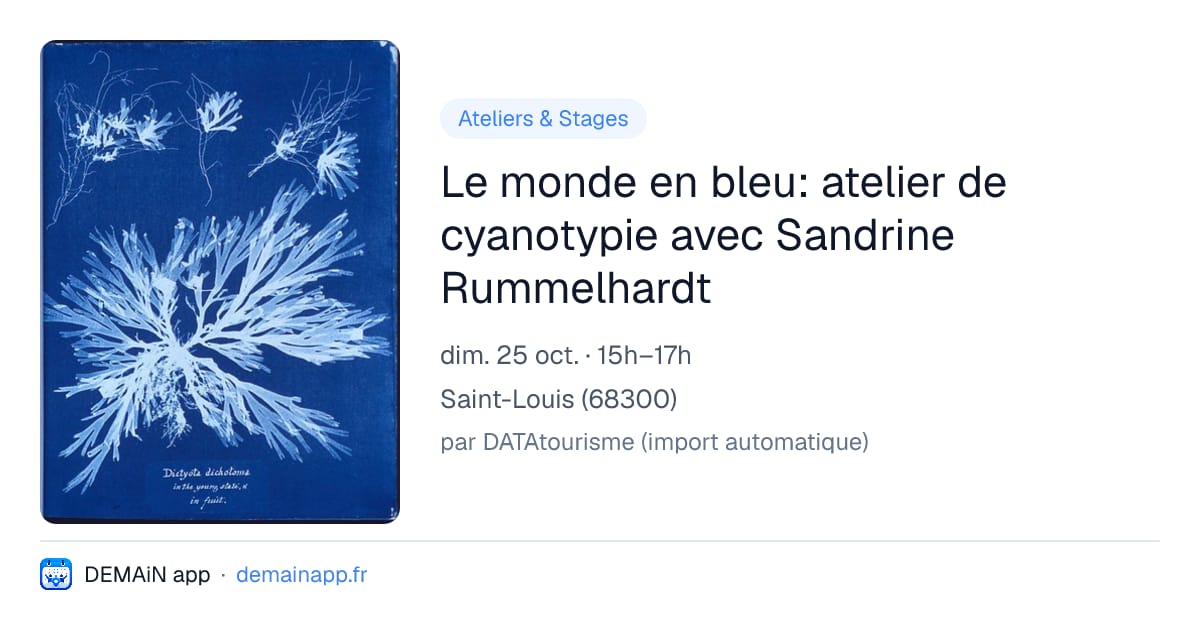 Le monde en bleu: atelier de cyanotypie avec Sandrine Rummelhardt — Saint-Louis