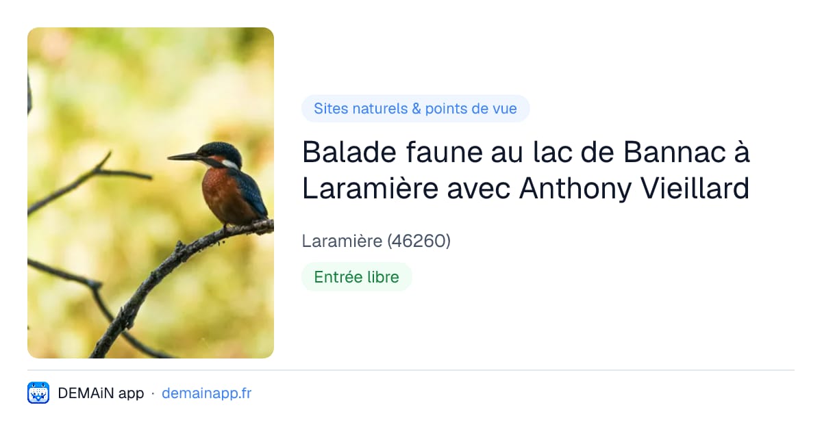 Balade faune au lac de Bannac à Laramière avec Anthony Vieillard — Laramière
