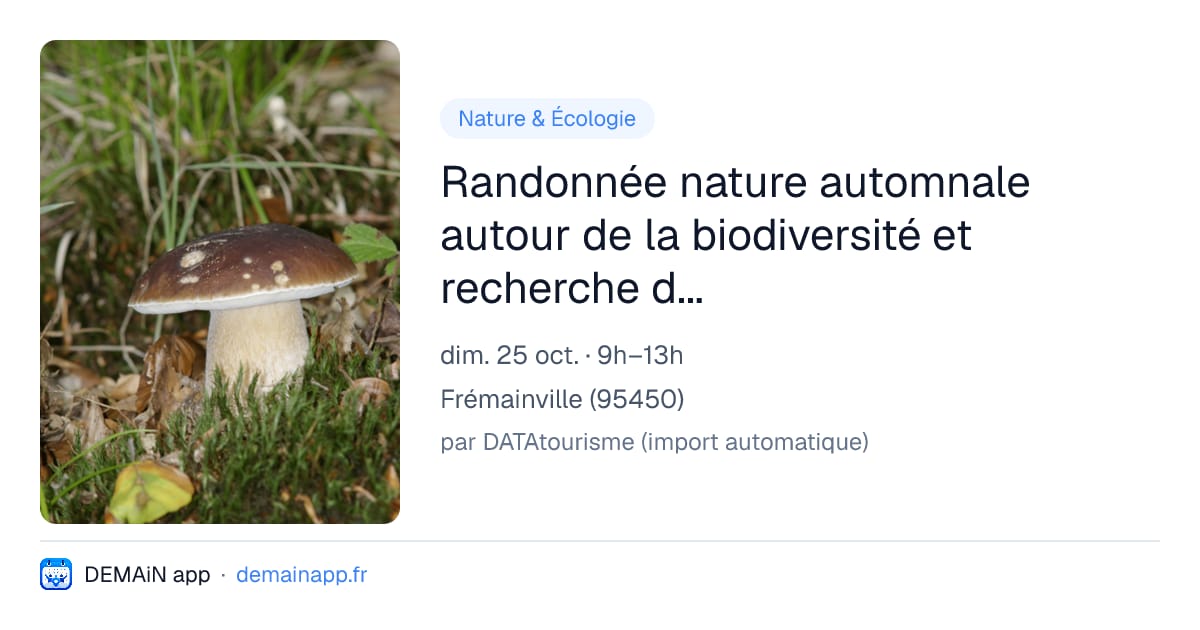 Randonnée nature automnale autour de la biodiversité et recherche de champignons — Frémainville