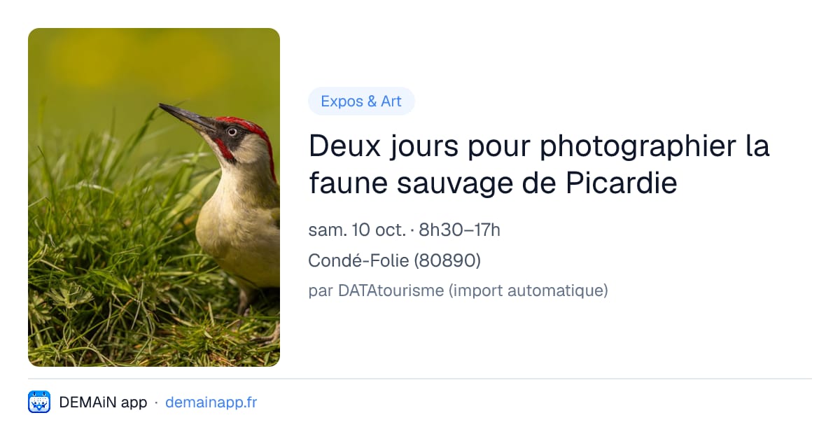 Deux jours pour photographier la faune sauvage de Picardie — Condé-Folie