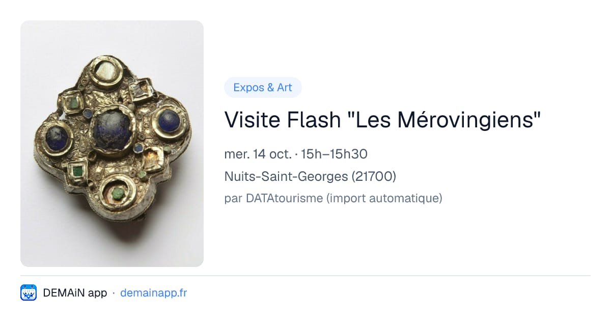 Visite Flash "Les Mérovingiens" — Nuits-Saint-Georges