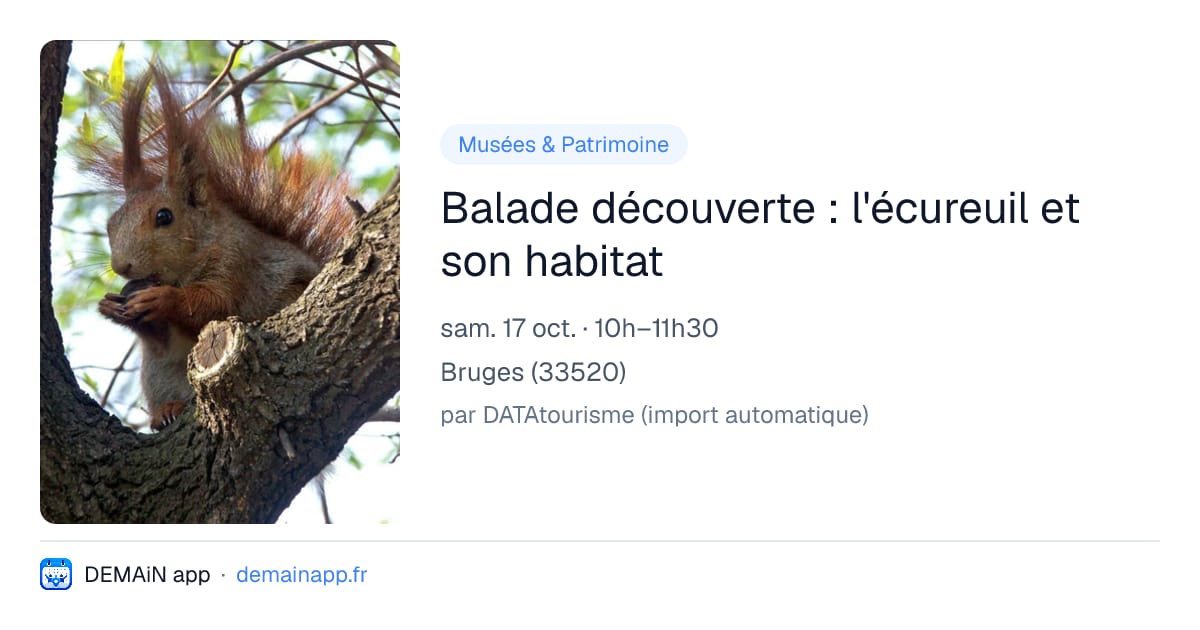 Balade découverte : l'écureuil et son habitat — Bruges