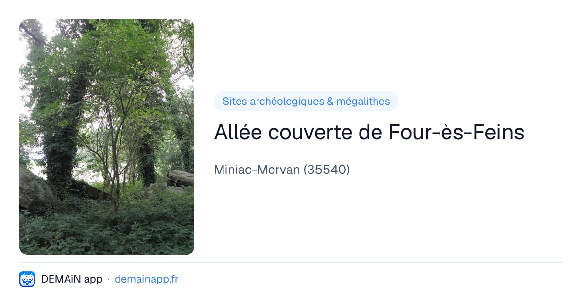 Allée couverte de Four-ès-Feins — Miniac-Morvan