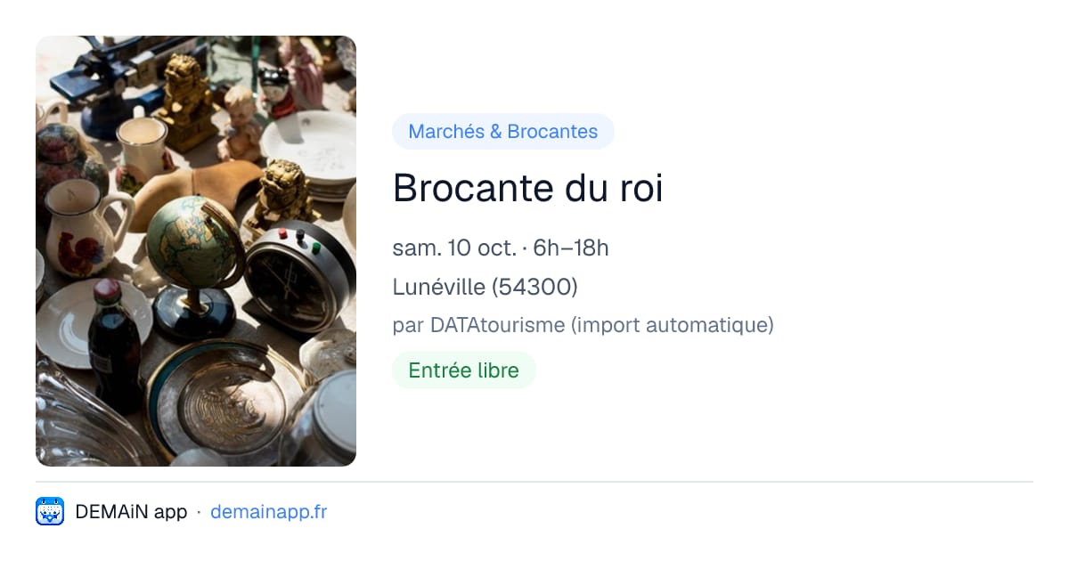 Brocante du roi — Lunéville