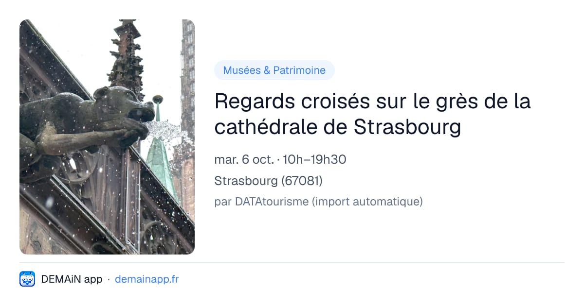 Regards croisés sur le grès de la cathédrale de Strasbourg — Strasbourg