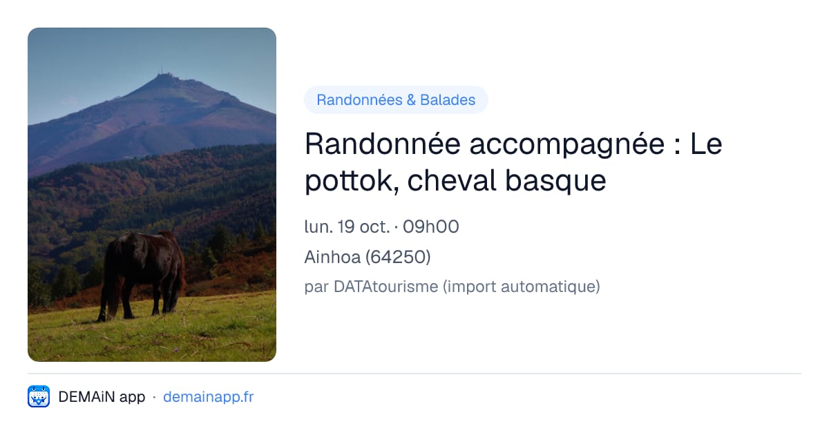 Randonnée accompagnée : Le pottok, cheval basque — Ainhoa