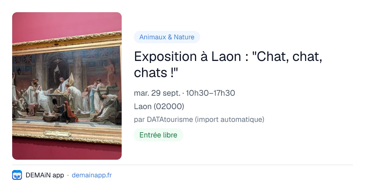 Exposition à Laon : "Chat, chat, chats !" — Laon