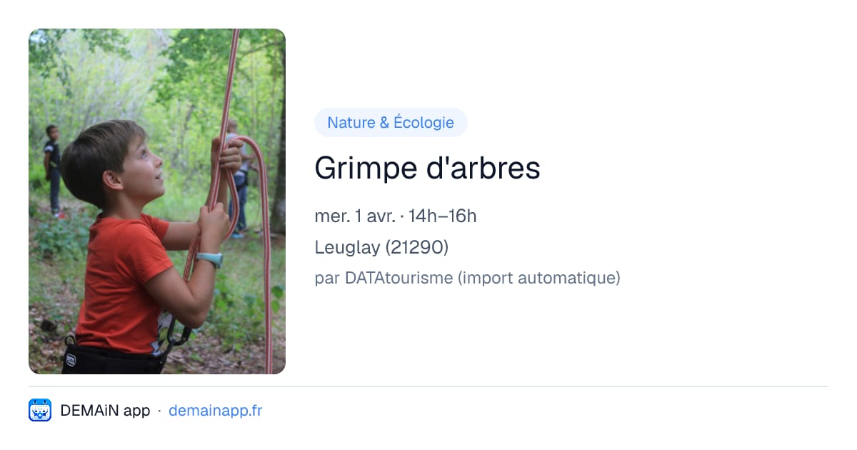 Grimpe d'arbres — Leuglay