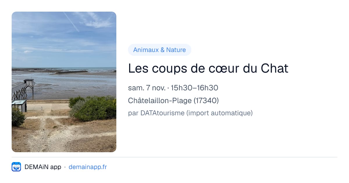 Les coups de cœur du Chat — Châtelaillon-Plage