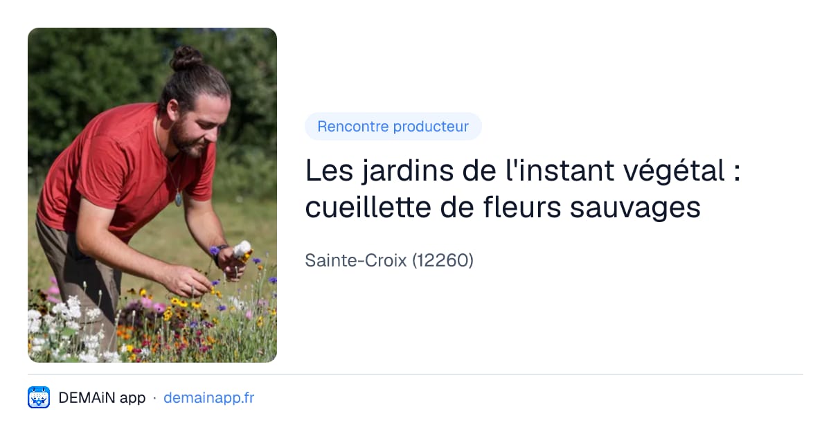 Les jardins de l'instant végétal : cueillette de fleurs sauvages — Sainte-Croix